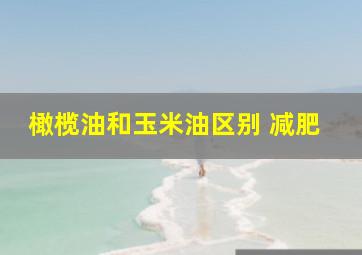 橄榄油和玉米油区别 减肥